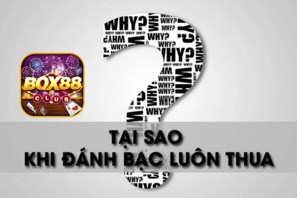 tại sao chơi game bài luôn thua Box88