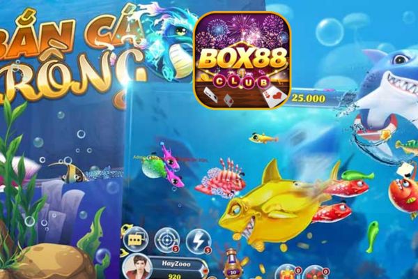 Box88 Bật Mí Bí Quyết Bắn Cá Rồng Đổi Thưởng Hiệu Quả 